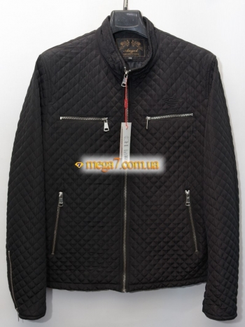 ֳ�� 1364 2001-2MGS ������ ������� ANGEL �����